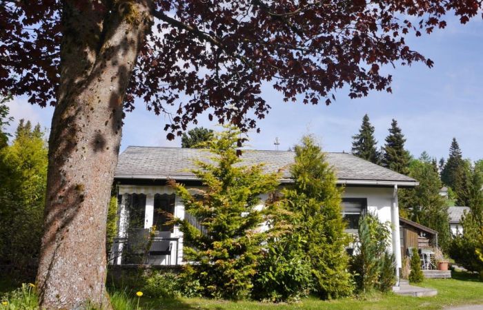 Ferienobjekt Ferienhaus 'Free Willi' Ferienhaus 'Free Willi'