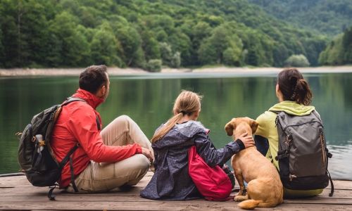 Alle Ferienobjekte für Sauerland-Urlaub mit Hund Alle Ferienobjekte für Sauerland-Urlaub mit Hund