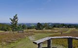 Usseln - Hochheide am Osterkopf mit Fernsicht