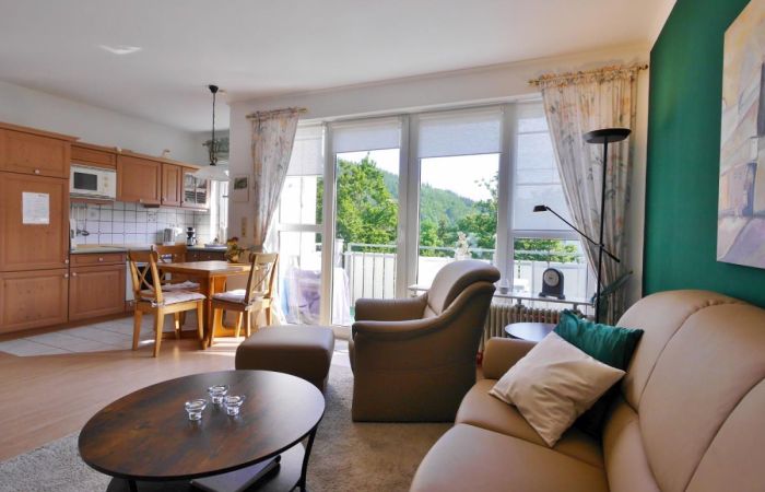 Ferienobjekt Komfort-Fewo SkywalkBlick (MeineCard+ inkl.) Komfort-Fewo SkywalkBlick (MeineCard+ inkl.)